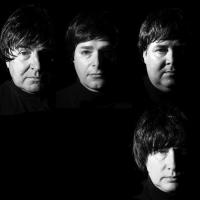 With the blue beatles medium